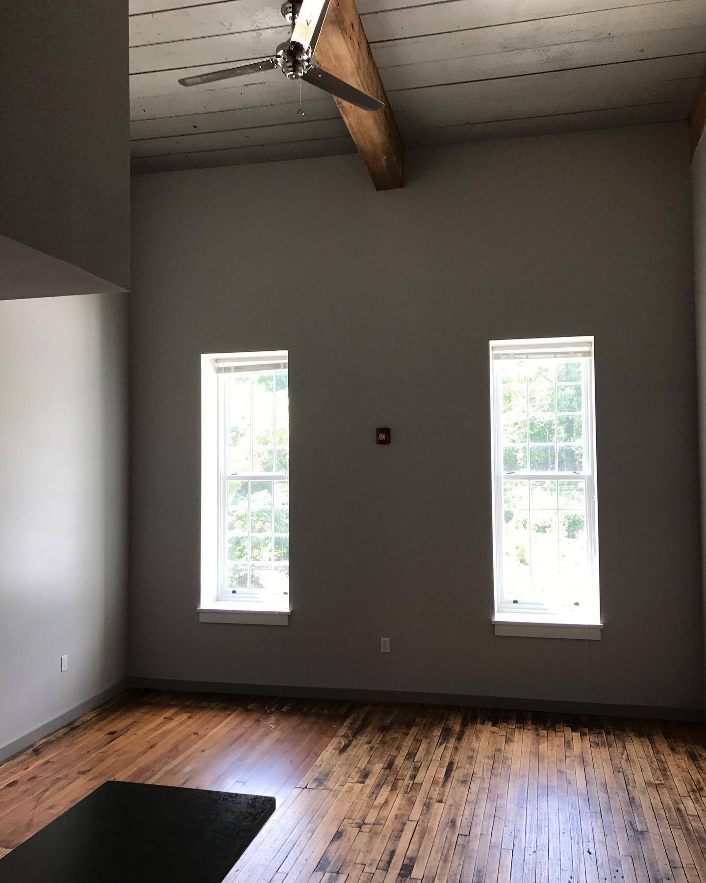 Curtained Greenery - Elevate Your Spaces with Plant-Infused Draperies