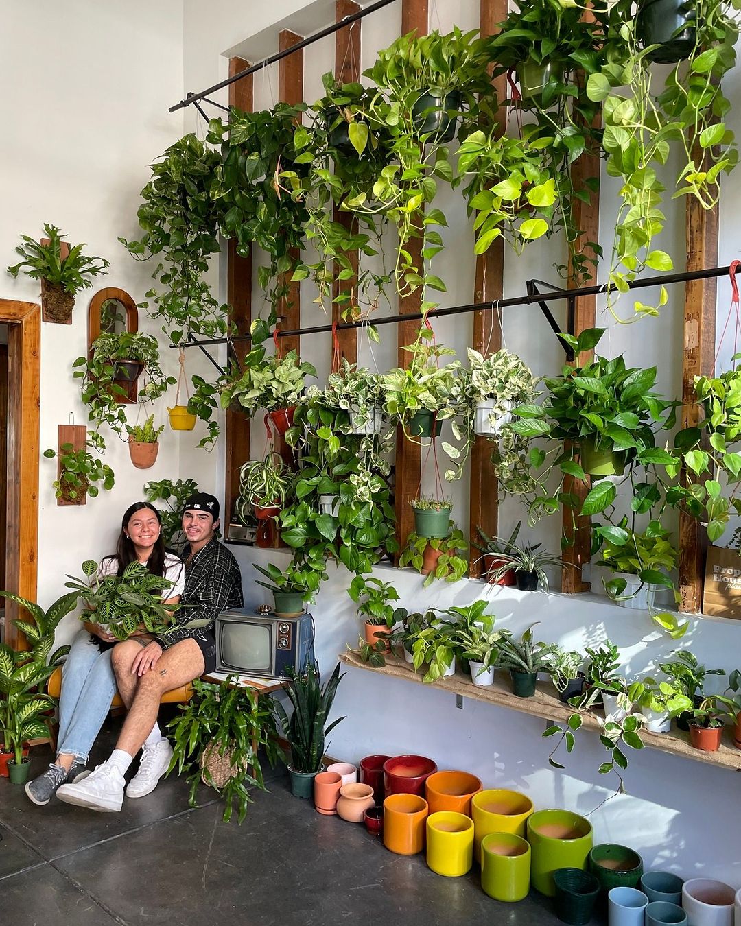 Spruce Up Your Space with Blossoming Beauties - Indoor Floral Delights to Elevate Your Home