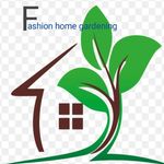 Greener Spaces: Creative Ways to Display Your Money Plant Indoors - Breathing Life into Every Corner