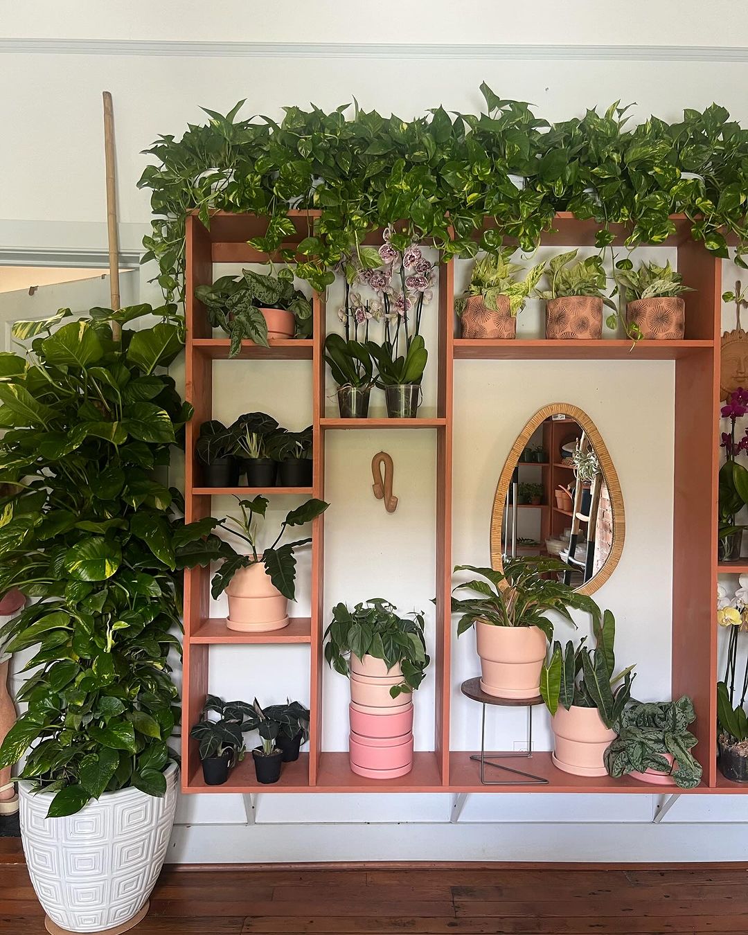 Houseplants and Shelves: A Perfect Indoor Pair - Spice Up Your Living Space with Creative Arrangements