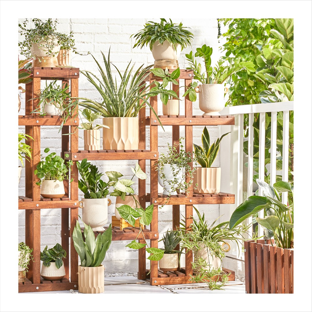 Elevating Your Green Game - Stylish Plant Stands for Your Indoor Jungle