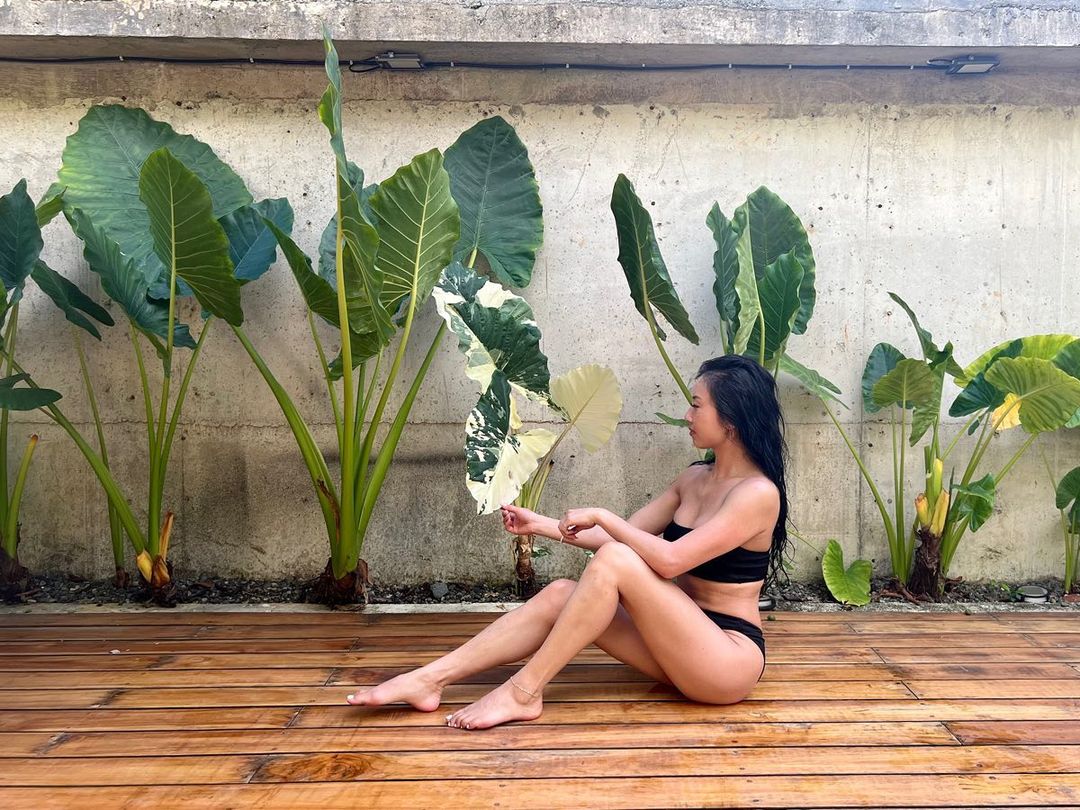 Indoor Jungle Vibes - Create Your Very Own Cozy Plant Sanctuary