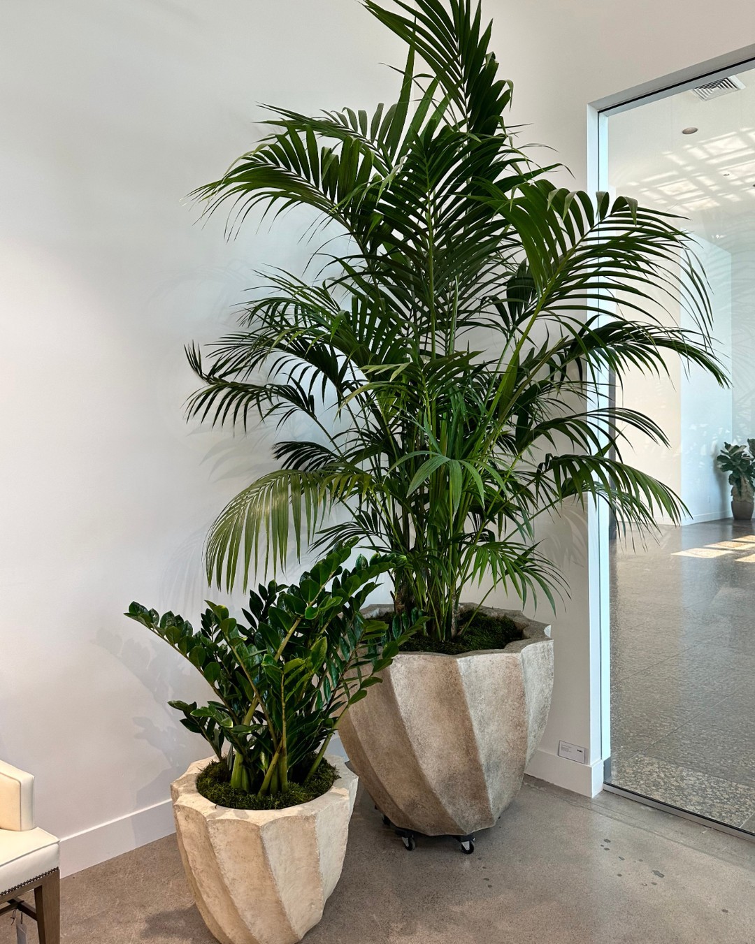 Liven Up Your Space - Creative Indoor Patio Plant Inspirations