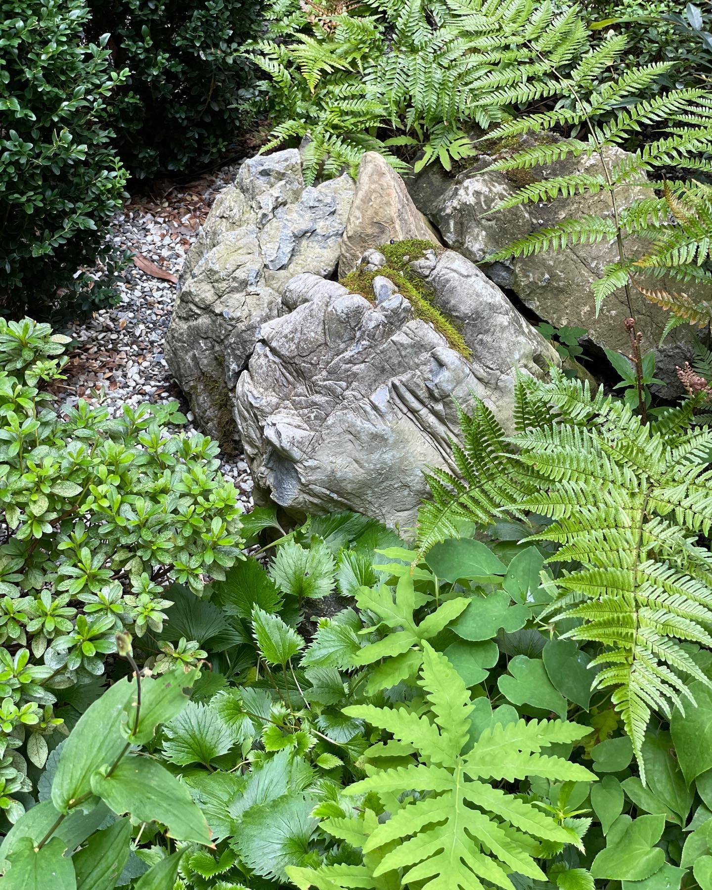 Breathing Life into Your Atrium - Top Picks for Stunning Greenery