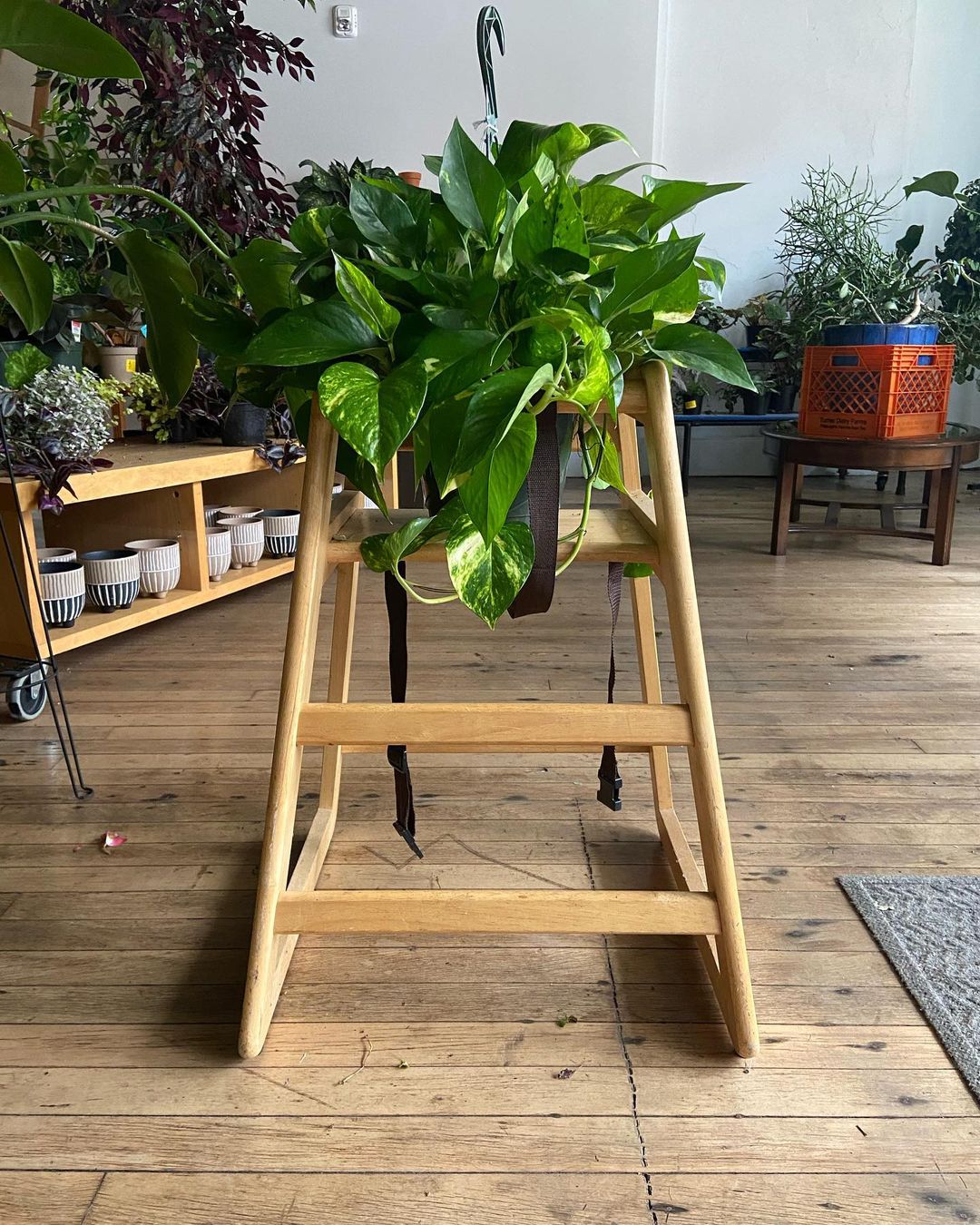 Elevate Your Greenery - Creative Tall Plant Stand Inspirations for Your Home