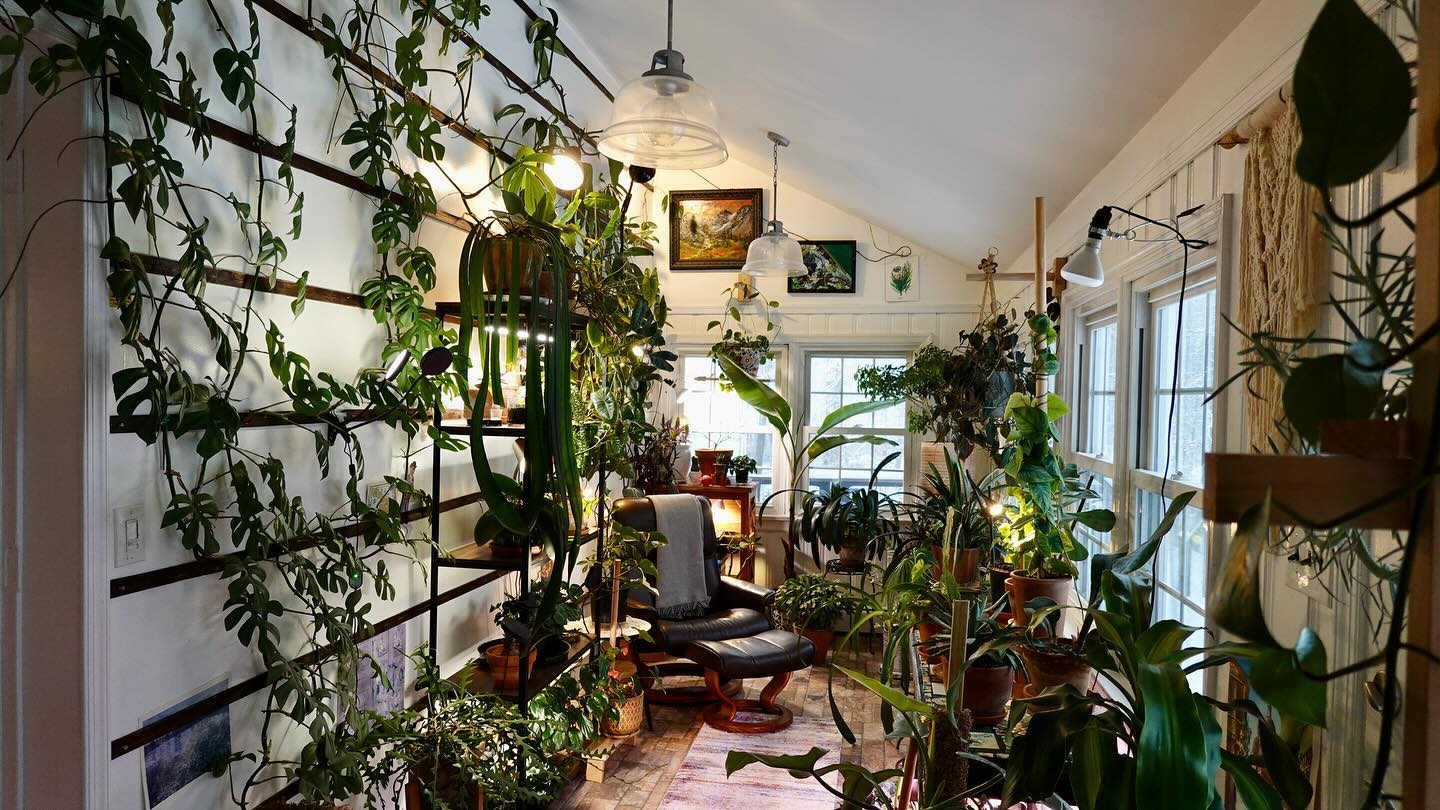 Elevate Your Space with Indoor Plant Wall Trellis Designs - Infuse Your Home with Green Vibes