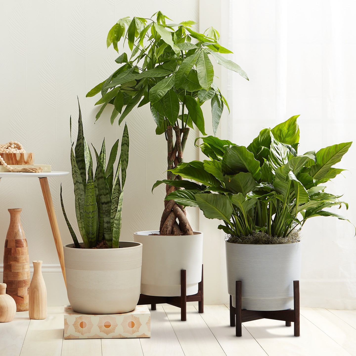 Budget-Friendly Plant Homes - Spruce Up Your Greenery on a Dime