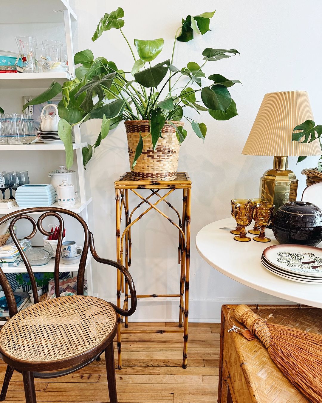 Elevate Your Home's Greenery Game - Styling Your Living Room Corners with Plant Stands